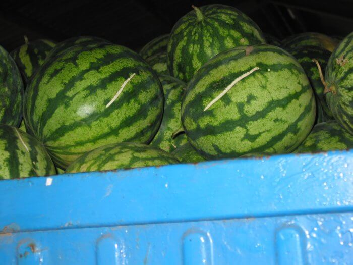 Ha dinnyét vásárolsz, ezt mindenképpen tudnod kell