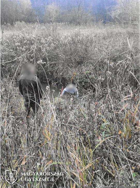 Orvvadászat - Több millió forint értékben lőttek ki trófeás szarvasbikákat - köztük egy önkormányzati vezető is - Fotók