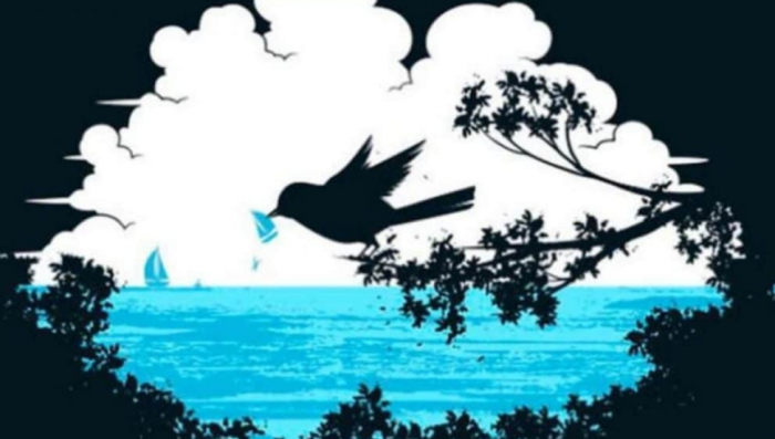 Ez a teszt tisztázza ki vagy - Mit látsz a képen?