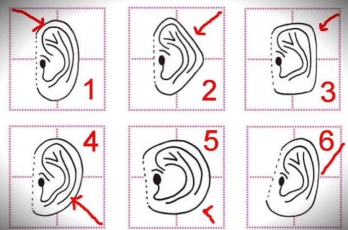 Milyen a füled alakja? Tudtad, hogy ez sokat elárul rólad?